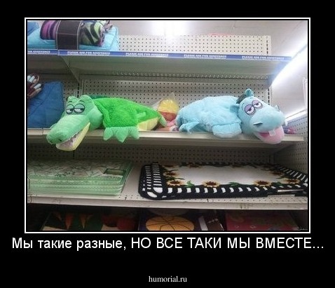 Мы такие разные, НО ВСЕ ТАКИ МЫ ВМЕСТЕ...