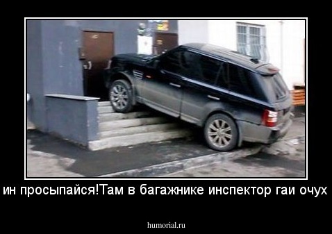 -Хозяин просыпайся!Там в багажнике инспектор гаи очухался!!