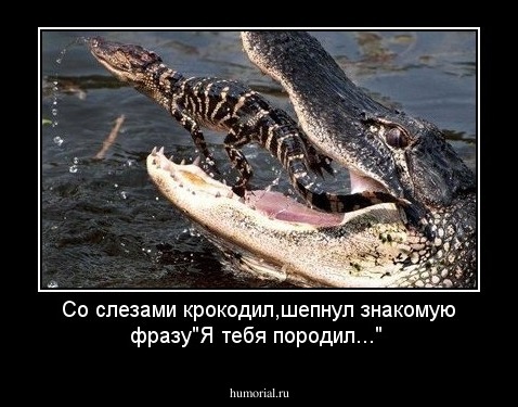 Со слезами крокодил,шепнул знакомую фразу"Я тебя породил..."