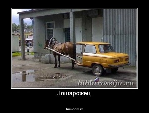 Лошарожец.