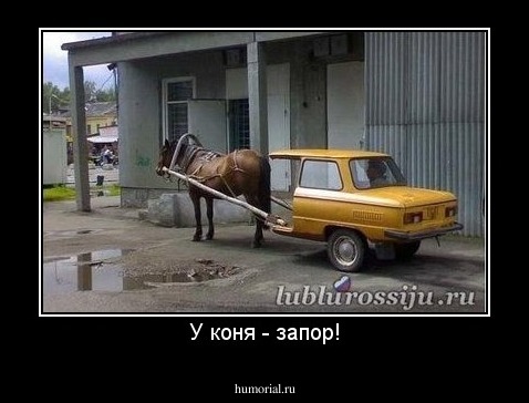 У коня - запор!