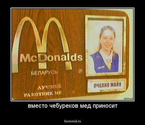 вместо чебуреков мед приносит