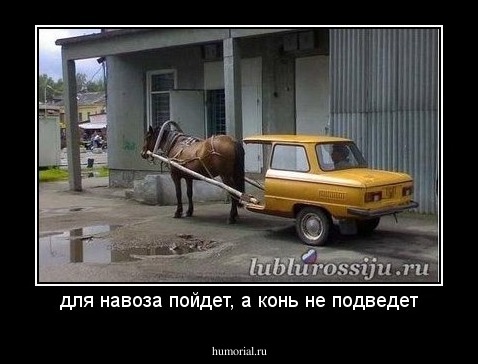 для навоза пойдет, а конь не подведет