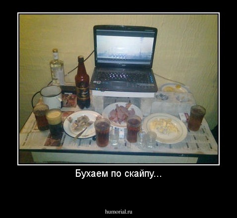 Бухаем по скайпу...
