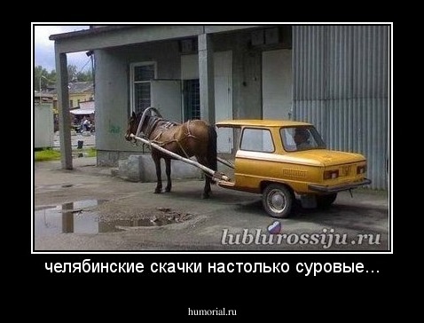 челябинские скачки настолько суровые...