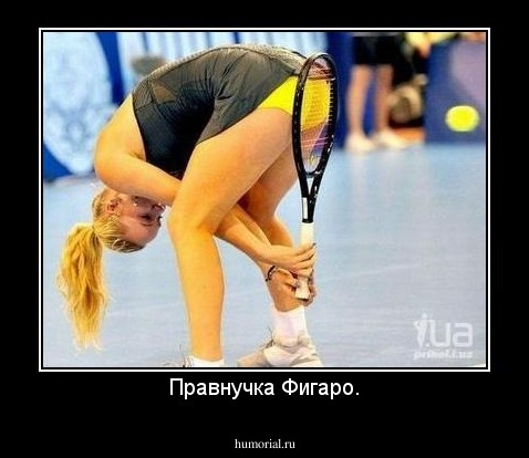Правнучка Фигаро.