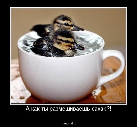 А как ты размешиваешь сахар?!