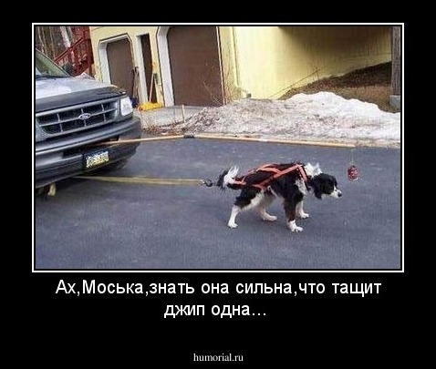 Ах,Моська,знать она сильна,что тащит джип одна...