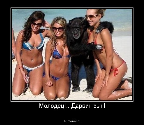Молодец!.. Дарвин сын!