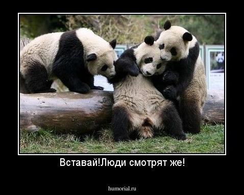 Вставай!Люди смотрят же!