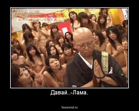 Давай..-Лама.