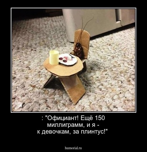  : "Официант! Ещё 150 миллиграмм, и я - к девочкам, за плинтус!"