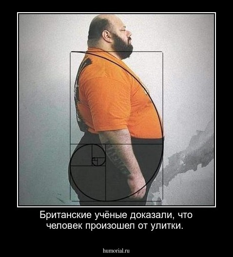 Британские учёные доказали, что человек произошел от улитки.