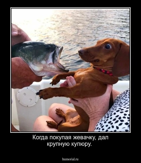Когда покупая жевачку, дал крупную купюру.