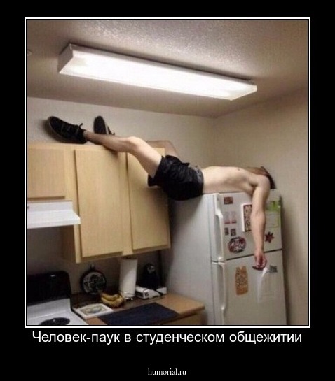 Человек-паук в студенческом общежитии