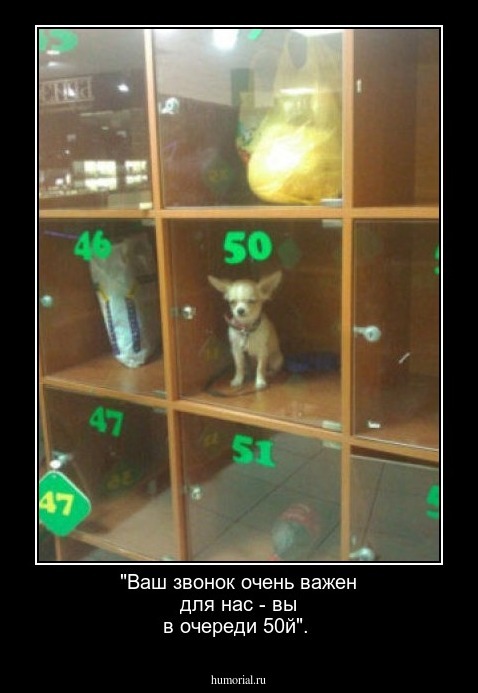 "Ваш звонок очень важен для нас - вы в очереди 50й".