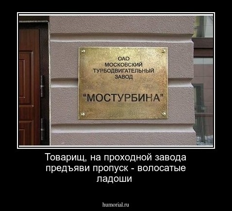 Товарищ, на проходной завода предъяви пропуск - волосатые ладоши