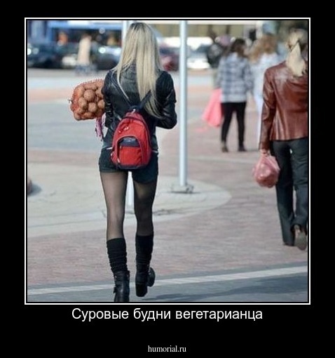 Суровые будни вегетарианца