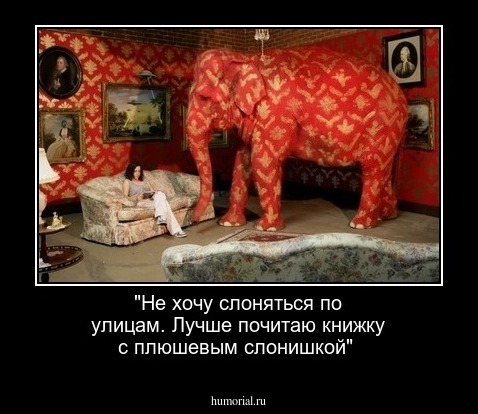 "Не хочу слоняться по улицам. Лучше почитаю книжку с плюшевым слонишкой"