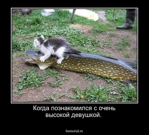 Когда познакомился с очень высокой девушкой. 