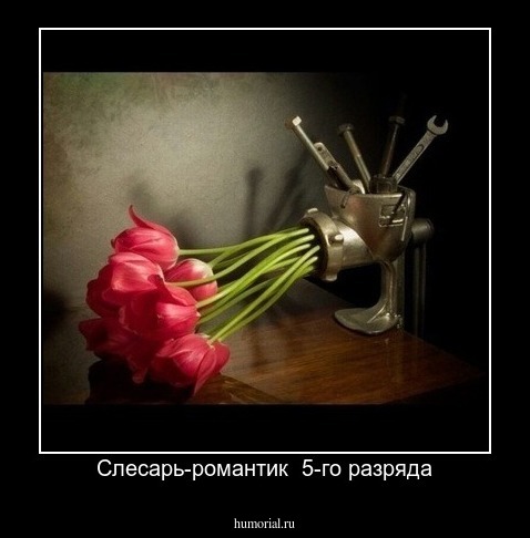 Слесарь-романтик  5-го разряда