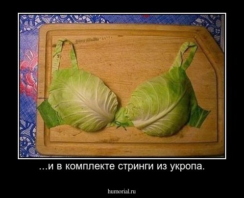 ...и в комплекте стринги из укропа.