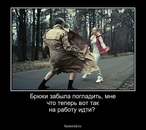 Брюки забыла погладить, мне что теперь вот так на работу идти?