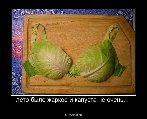 лето было жаркое и капуста не очень... 