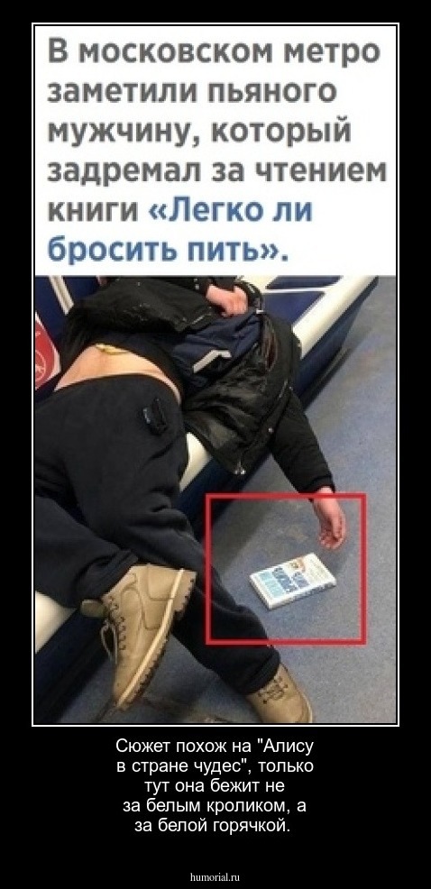 Сюжет похож на "Алису в стране чудес", только тут она бежит не за белым кроликом, а за белой горячкой.