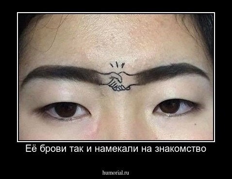 Её брови так и намекали на знакомство