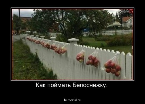 Как поймать Белоснежку. 