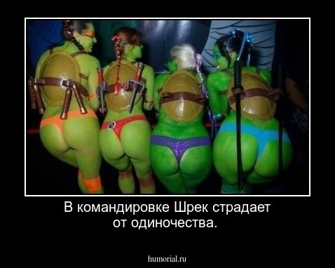 В командировке Шрек страдает от одиночества.