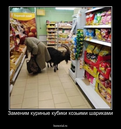 Заменим куриные кубики козьими шариками