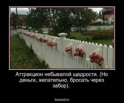 Аттракцион небывалой щедрости. (Но  деньги, желательно, бросать через забор).