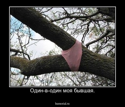 Один-в-один моя бывшая.