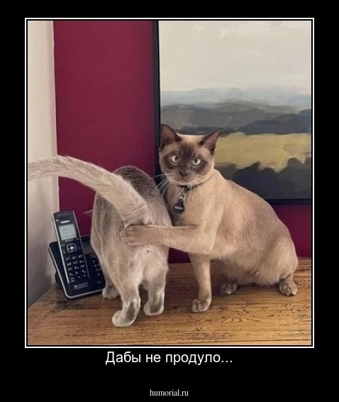 Дабы не продуло...