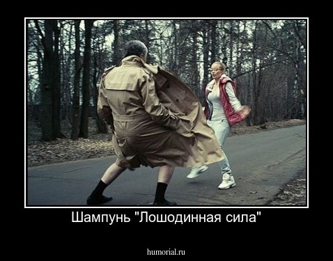 Шампунь "Лошодинная сила"