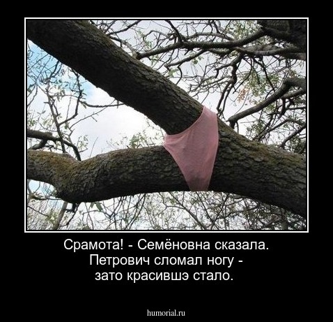 Срамота! - Семёновна сказала. Петрович сломал ногу - зато красившэ стало. 