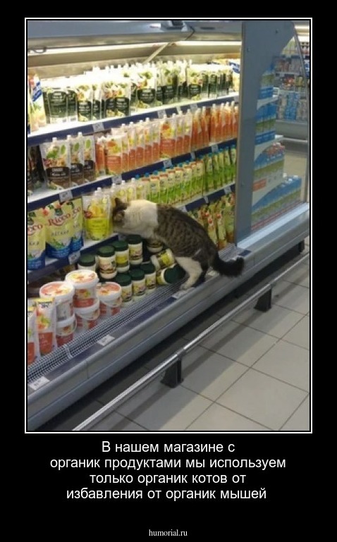 В нашем магазине с органик продуктами мы используем только органик котов от избавления от органик мышей