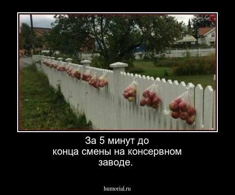 За 5 минут до конца смены на консервном заводе.