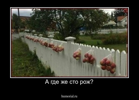 А где же сто рож?