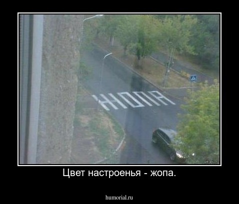 Цвет настроенья - жопа.
