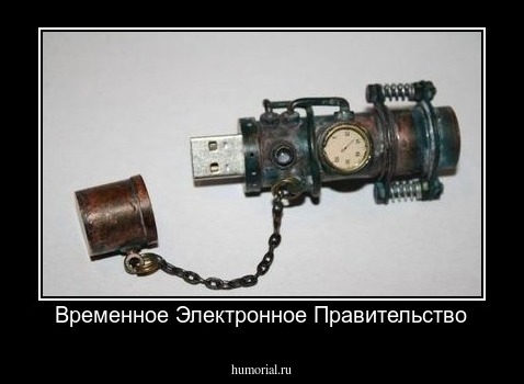 Временное Электронное Правительство
