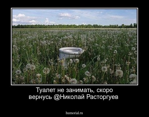 Туалет не занимать, скоро вернусь @Николай Расторгуев