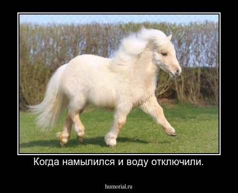 Когда намылился и воду отключили.