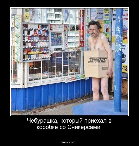 Чебурашка, который приехал в коробке со Сникерсами