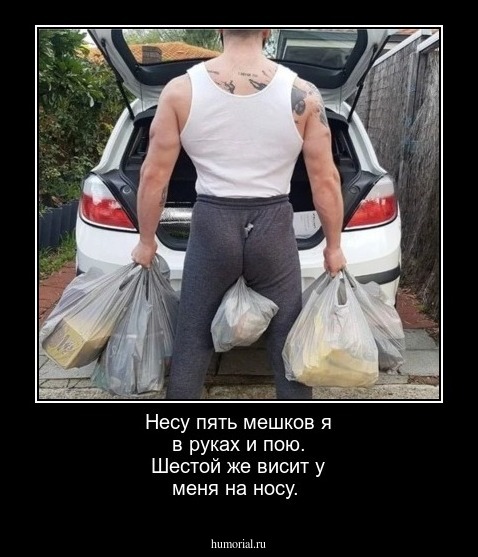 Несу пять мешков я в руках и пою. Шестой же висит у меня на носу.