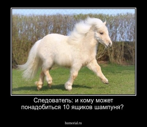 Следователь: и кому может понадобиться 10 ящиков шампуня?