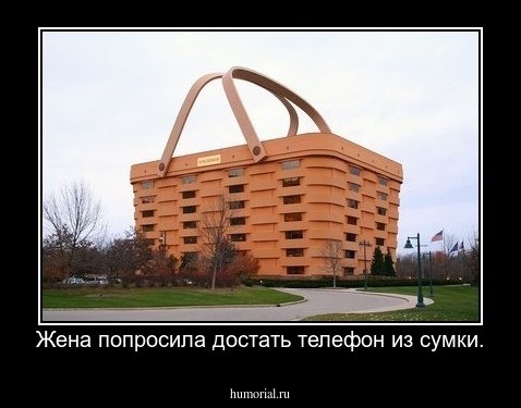 Жена попросила достать телефон из сумки.