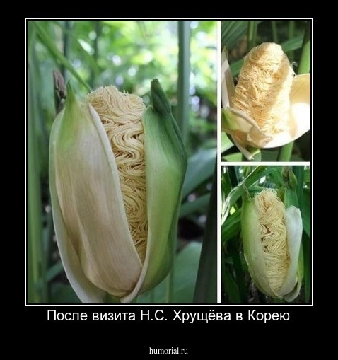 После визита Н.С. Хрущёва в Корею